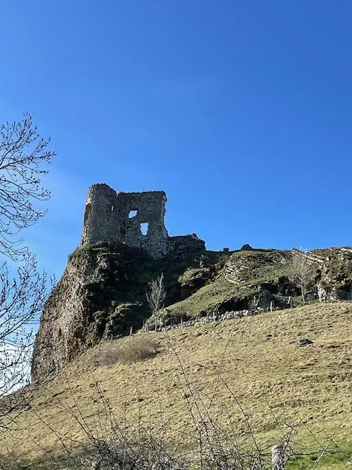Maison Cantal A Marchastel 15400 Vakantiehuis